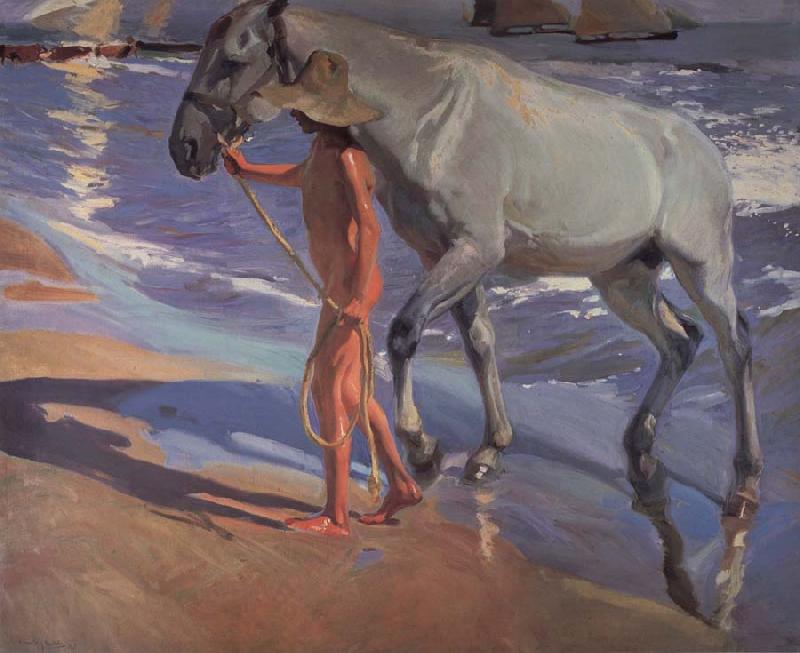 Joaquin Sorolla Y Bastida The bathing of the horse